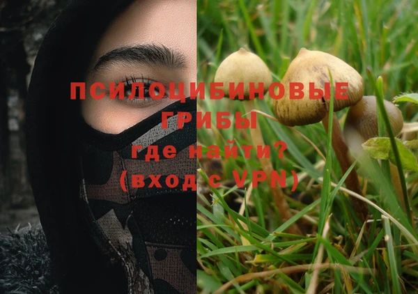 дурь Балахна