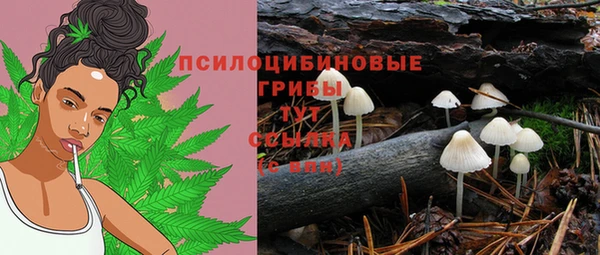 дурь Балахна